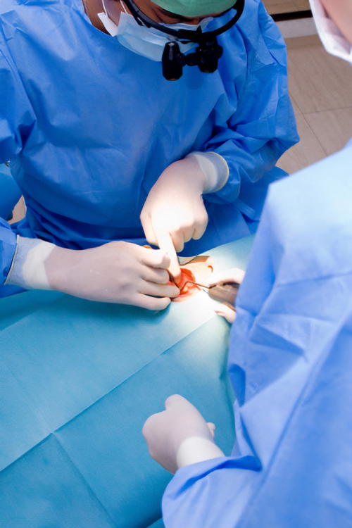 自然歯の美しさ