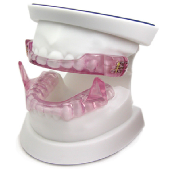 イメージ画像２